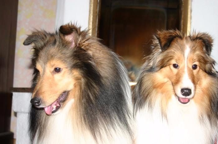 RAYNA & RINGO